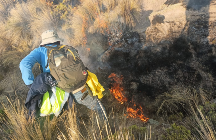 Incendio arrasó con 800 hectáreas en distrito de Toro