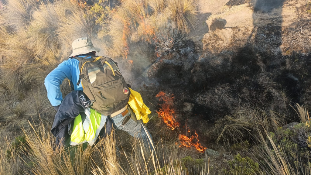 Incendio arrasó con 800 hectáreas en distrito de Toro