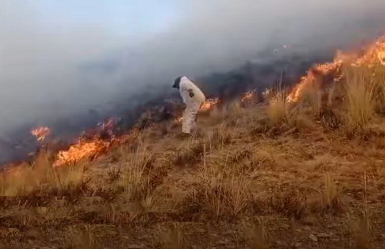 Incendio arrasa 500 hectáreas de pastizales y afecta a 12 familias en Toro