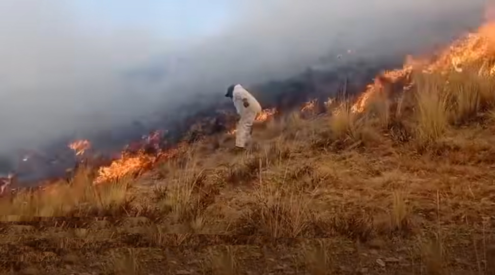 Incendio arrasa 500 hectáreas de pastizales y afecta a 12 familias en Toro