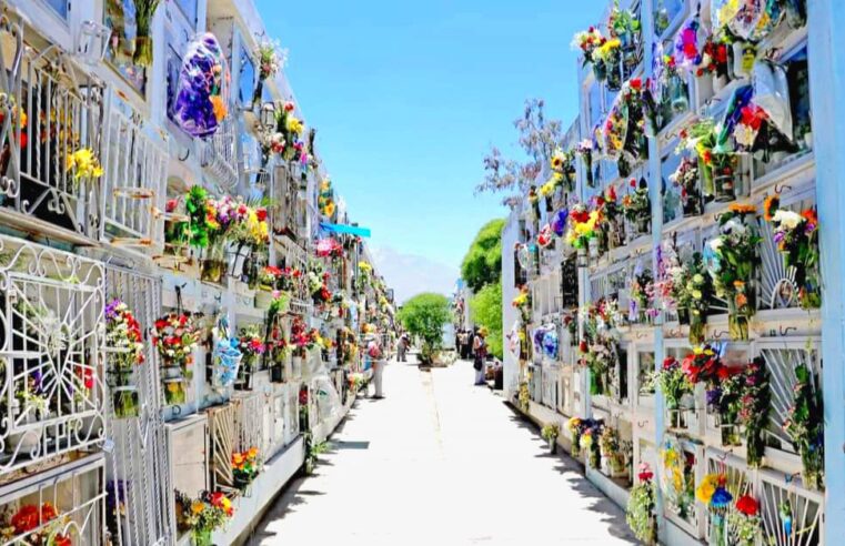 Cementerio General de La Apacheta espera recibir a 60 mil visitantes por el Día de Todos los Santos  con estricto plan de seguridad