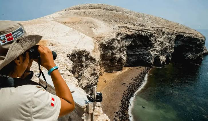 Impulsan protección de recursos marinos en Reserva Nacional de Paracas