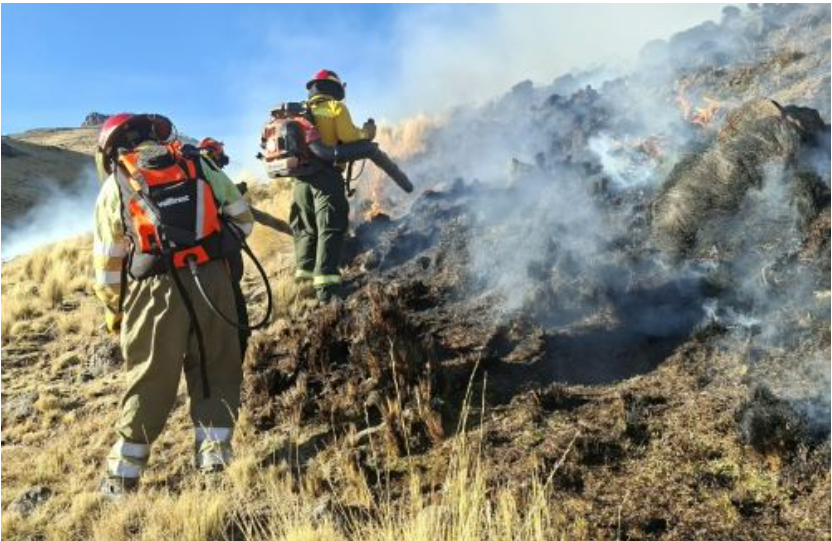 Registran 289 incendios forestales y 9 000 hectáreas afectadas