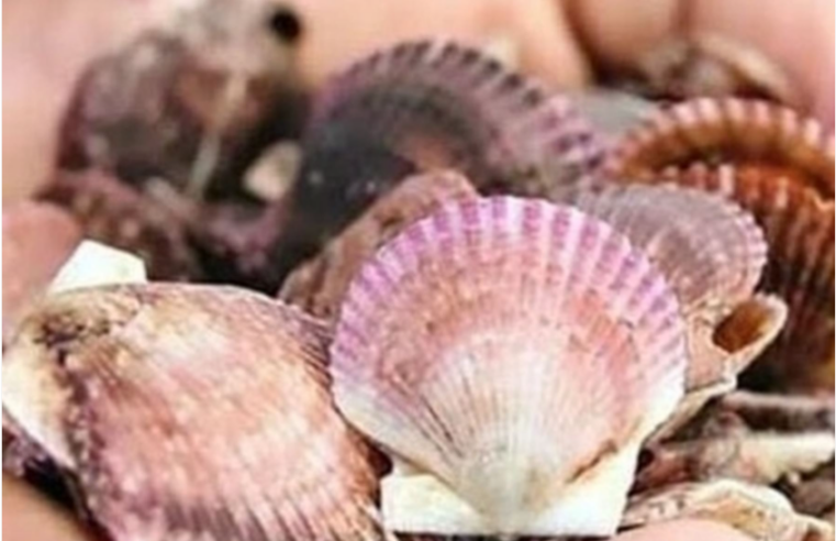 MINAM coordinan estrategias para conservar la biodiversidad