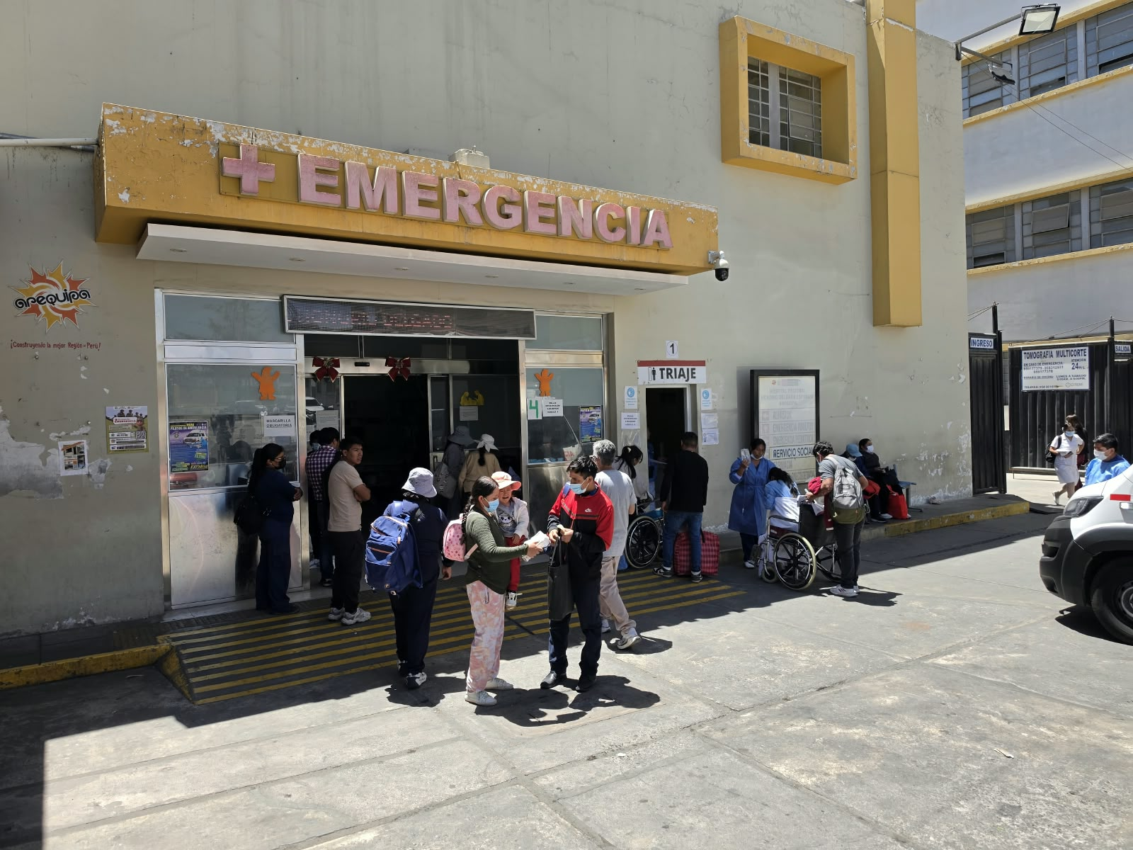 Arequipa registra 151 mordeduras de arañas durante el 2026.