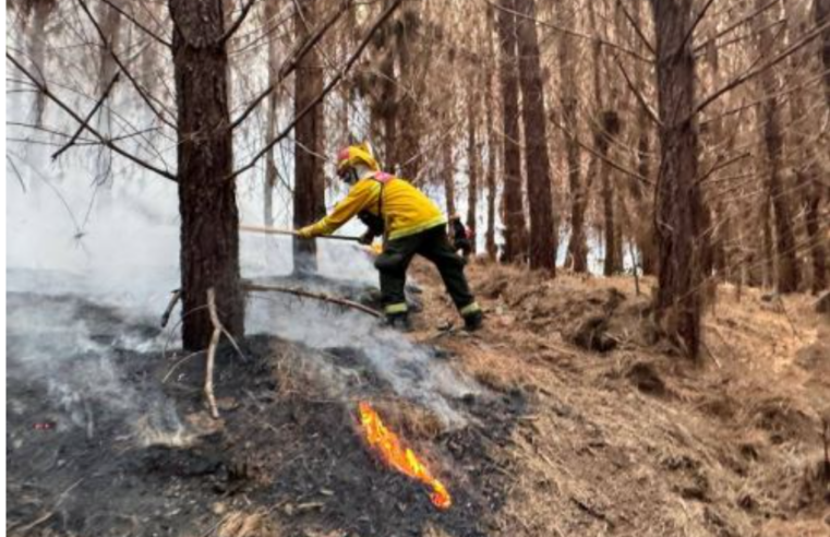 Tres incendios forestales de gran magnitud arrasan vegetación
