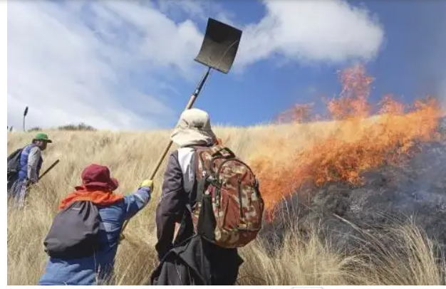 Combaten 13 incendios forestales en siete regiones del país