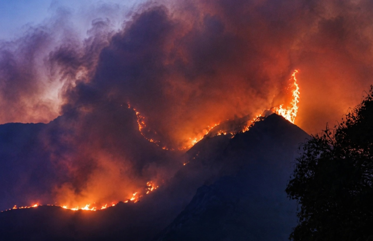 Incendios forestales arrasan 4 975 hectáreas en Arequipa