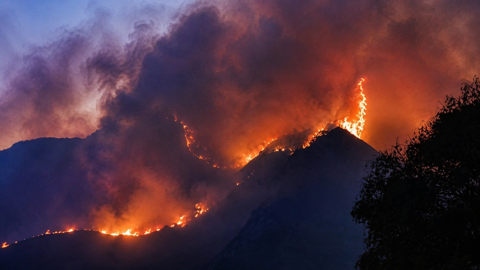 Incendios forestales arrasan 4 975 hectáreas en Arequipa