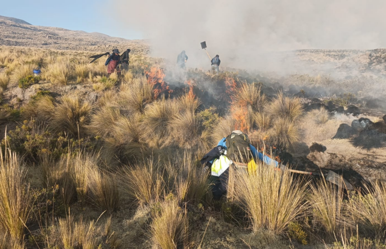 Arequipa entre las regiones expuestas a incendios forestales: 520 distritos en riesgo muy alto