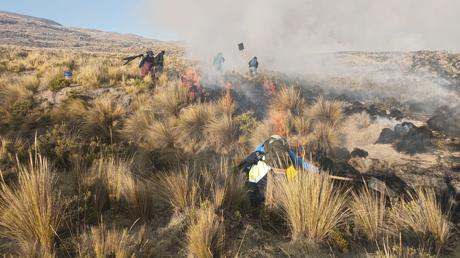 Arequipa entre las regiones expuestas a incendios forestales: 520 distritos en riesgo muy alto