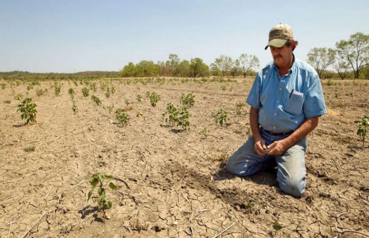 Menor producción agrícola amenaza con encarecer los alimentos en Arequipa