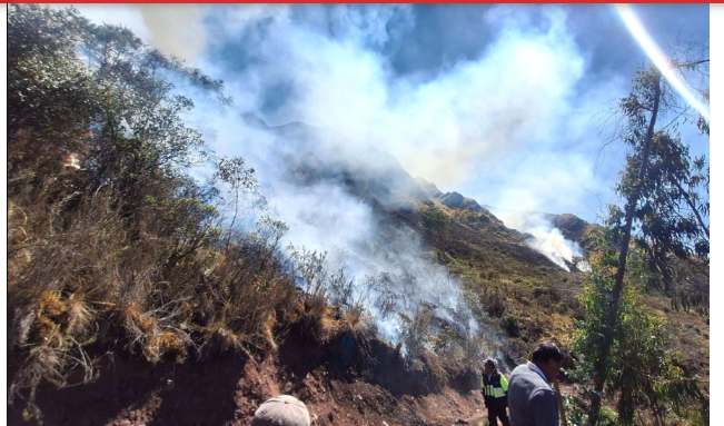 Condenan a agricultor por incendio forestal que destruyó siete hectáreas