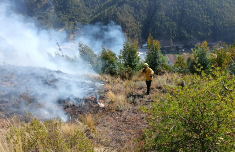 Bomberos controlan dos incendios forestales tras quemarse 352 hectáreas