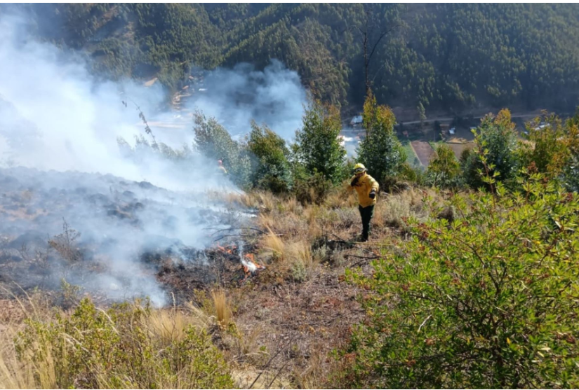 Bomberos controlan dos incendios forestales tras quemarse 352 hectáreas