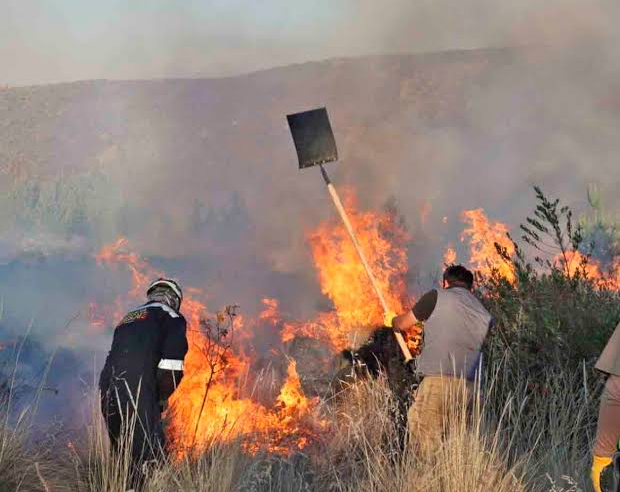 Incendio forestal afecta viviendas en el anexo de Mosopuquio
