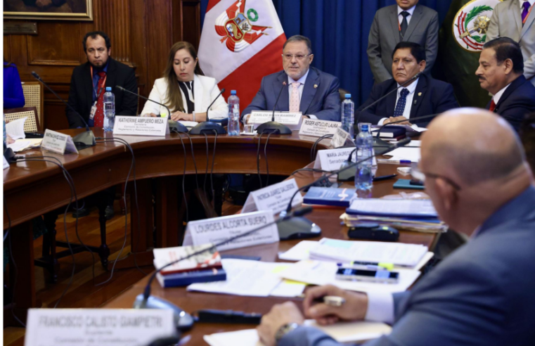 Comisión de Constitución del Senado aprueba facultades al Ejecutivo