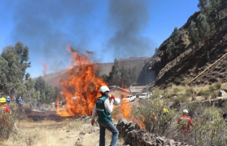 Incendios forestales afectan más de 5 000 hectáreas en Arequipa