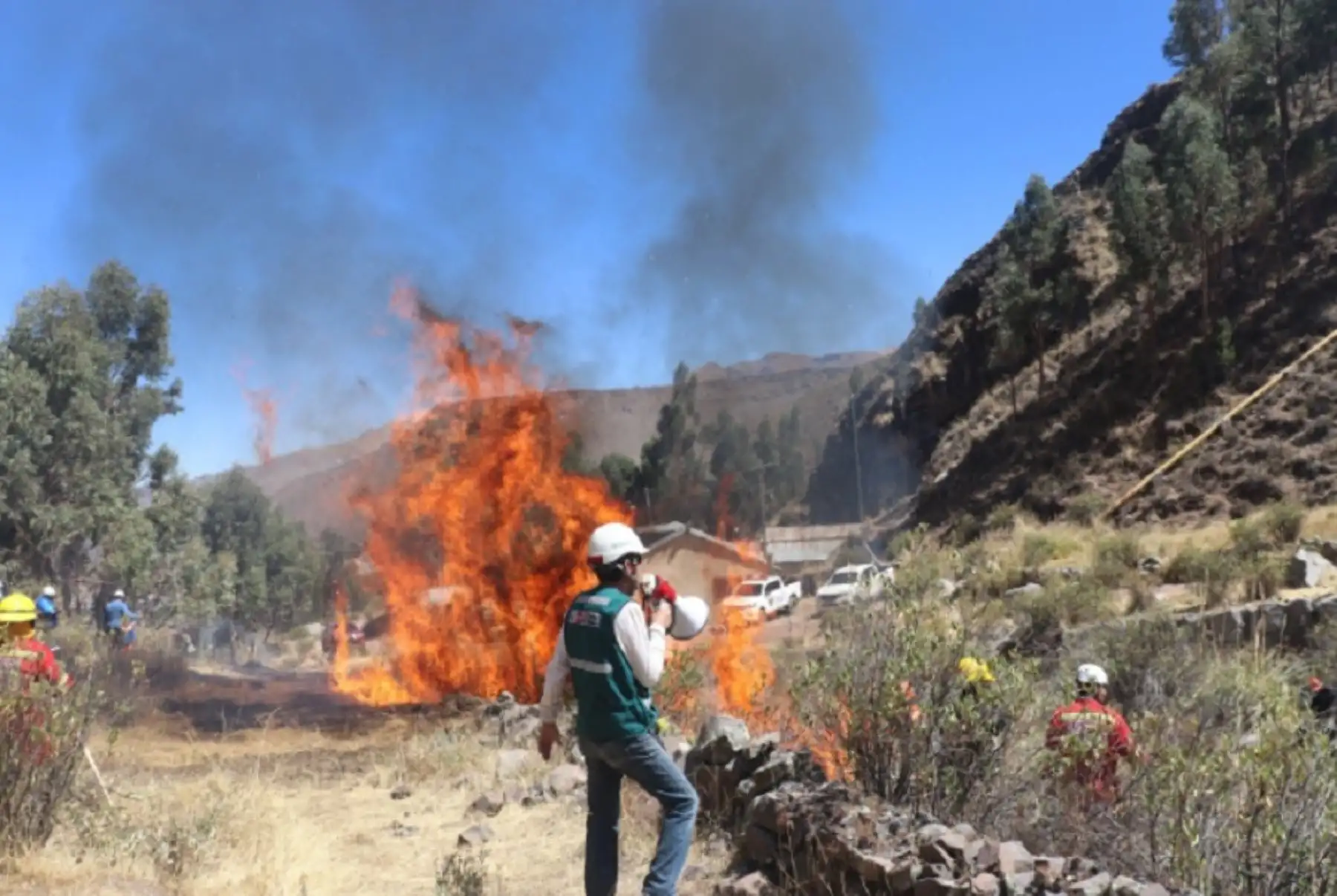 Incendios forestales afectan más de 5 000 hectáreas en Arequipa
