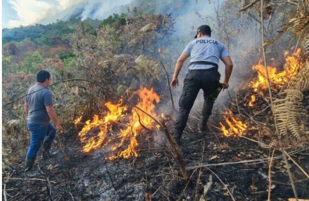 Condena a tres personas por provocar incendios forestales