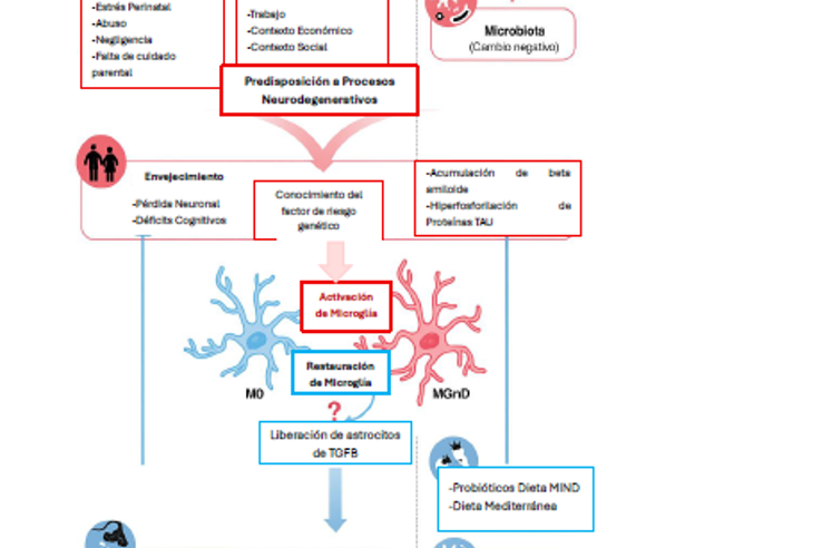 LA NUTRICIÓN CEREBRAL DEBERÁ OBJETIVO CAPITAL EN LA NEUROCIENCIA