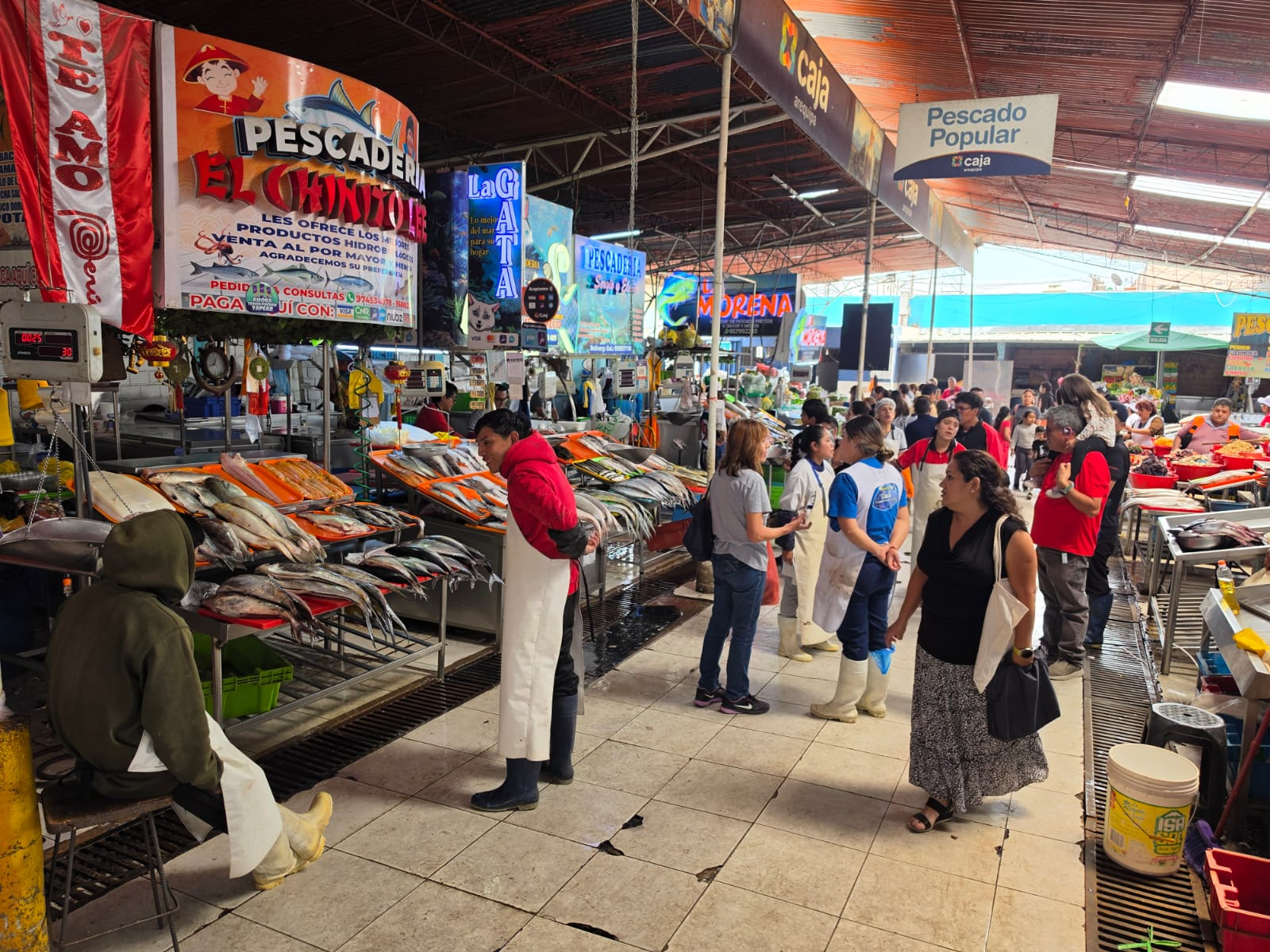 Mal tiempo reduce oferta de pescado y eleva precios en Arequipa