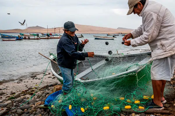 PBI primario cae 2,3 % hasta agosto por impacto de El Niño costero