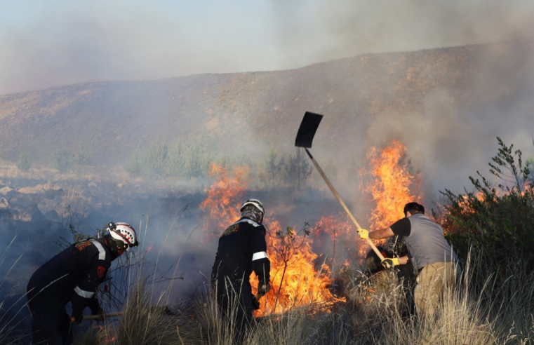 Arequipa acumula 54 incendios forestales por aumento de temperaturas