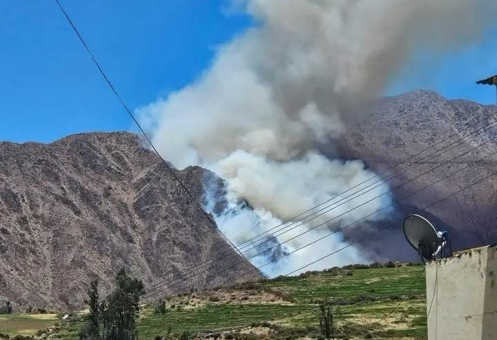Incendio forestal amenaza ecosistema en Viraco