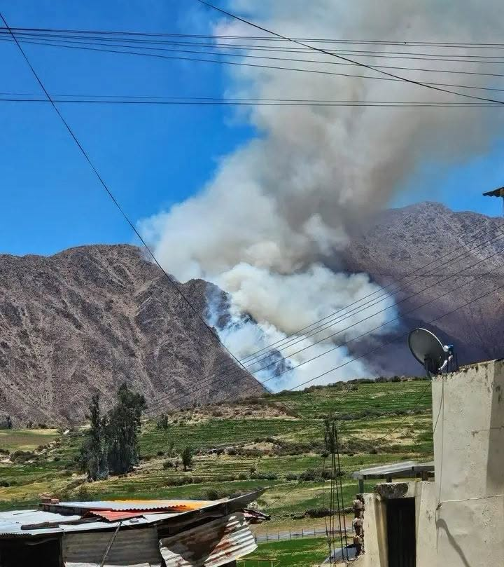 Incendio forestal amenaza ecosistema en Viraco