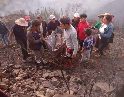 Tragedia: niña de 11 años muere tras incendio forestal