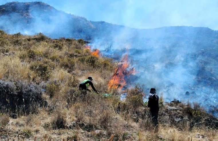 Incendios forestales afectan más de 300 hectáreas en Arequipa