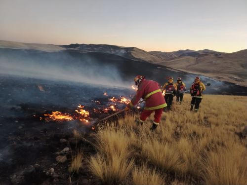 Incendios forestales en Cusco dejan 5 muertos y más de 16 mil hectáreas afectadas