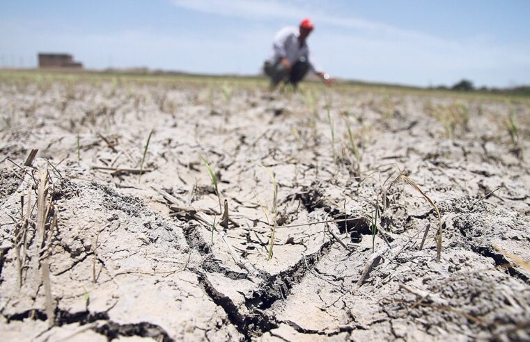 LA SEQUÍA NO ESPERA, EL GOBIERNO DEMORA